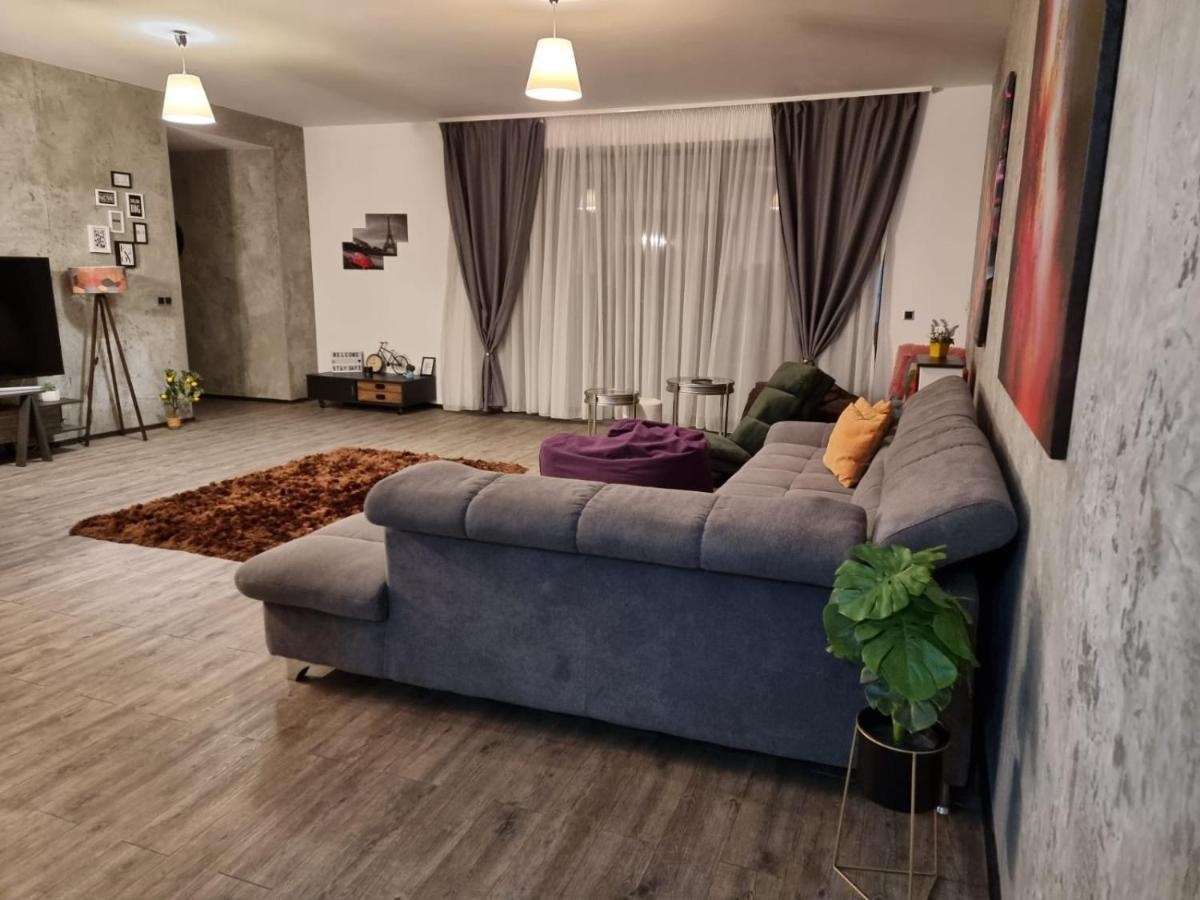 Anastasia Mountain Apartment - Poiana Braşov Exteriör bild